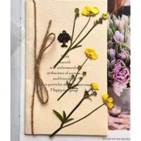 (Giá sỉ) Set 50 cành cải bông to ép khô DIY làm resin, tranh handmade Pressed flowers)