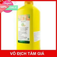 [GIÁ SỈ] SIRO MAULIN HƯƠNG DƯA LƯỚI