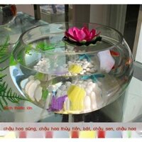 [GIÁ SỈ]  Thủy canh bình thủy tinh trong suốt lớn thủy tiên bát sen nồi hoa súng chậu hoa rùa bể cá