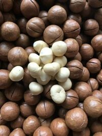 Giá sỉ từ 5kg Hạt mắc ca Đak Lak hàng nứt vỏ mới ko hôi dầu