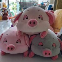 💥💥GIÁ SIÊU SỐC💥💥💥HEO MẮT HÍ VẢI SIÊU MỀM MẠI😘😘