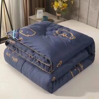 [GIÁ SỐC] Chăn mùa đông, chăn bông, chăn dày cho mùa xuân và mùa thu, chăn tất cả các mùa, chăn đơn