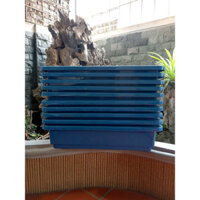 (GIÁ SỐC) Combo 10 Chậu nhựa trồng rau sạch thông minh | Khay trồng rau thế hệ mới - Màu Xanh