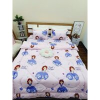 {Giá tại xưởng} Ga trải giường kích thước 2mx2M2 (chưa bao gồm vỏ gối) Mẫu công chúa_banhanggiasi