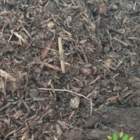 Giá thế phân rơm, sơ dừa, tro trấu ( trộn sẵn 10kg)