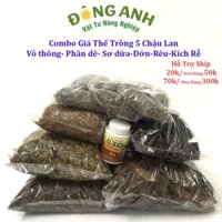 Giá Thể Trồng 10-15 Chậu Lan Đầy Đủ Đã Qua Xử Lí ( Vỏ thông+ Phân dê + Rêu + Dớn + Sơ Dừa + Kích Rễ N3M )