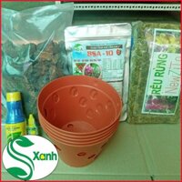 Giá thể trồng lan, combo 6 món