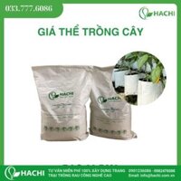 Giá thể xơ dừa trồng cà chua, dưa leo, ớt chuông