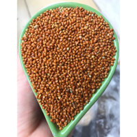 GIÁ TỐT 5kG KÊ ĐỎ TO cho chim vẹt, yến phụng, lovebird, sắc nhật, bảy màu, manh manh...