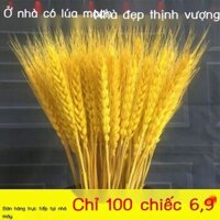 [GIÁ TỐT CHỌN MẪU] Bó hoa khô tai lúa mì vàng tự nhiên trang trí phòng khách Bình tai lúa mì cắm ho