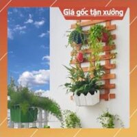 Giá treo cây cảnh, trang trí nhà cửa treo tường trồng cây treo chậu hoa trang trí nhiều kích thước