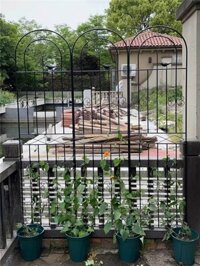 Giá treo hoa leo núi / / Chân đế hoa sắt Leo núi Pergola Vườn hoa hồng Chân đế hoa hồng Clematis Pothos Cây leo Fram