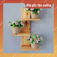giá treo kệ treo đồ lưu niệm hoa cây cảnh trong nhà đẹp kệ treo tường không cần khoan