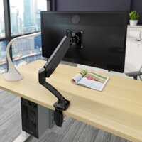 GIÁ TREO MÀN HÌNH MÁY TÍNH 27 INCH VNDLB502 THƯƠNG HIỆU LOCTEK [PHÂN PHỐI CH BỞI ERGOLIFE]