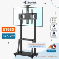 Giá Treo Tivi Di Động ErgoTek E1950 32 - 75 Inch - Giá Treo Tivi Có Bánh Xe Chuyên Dụng [Ưu Việt Hơn NB AVA1500 / 1700 ]