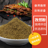 Gia vị nướng thịt bột cumin nguyên chất 500g sử dụng thương mại cho thịt cừu xiên rắc gia vị nướng thịt miễn phí vận chuyển
