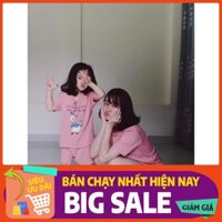 [GIÁ XƯỞNG] Set bộ vịt DONAL mẹ và bé siêu xinh SMB02