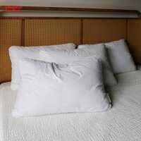 [GIẢM 50%] Combo 03 Ruột Gối, Gối Hơi Cao Cấp 50x70 Chuẩn Khách Sạn & Resort, Êm Ái Chất Lượng Cao | DongNhan Furniture