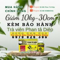 Giảm cân cấp tốc cơ địa khó giảm Phan tả diệp 5-15 kg một liệu trình
