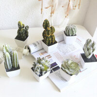 Giảm giá Bộ cây cảnh mini mô phỏng cao, xương rồng sa mạc trong chậu, bóng cột mô phỏng hoa nhỏ