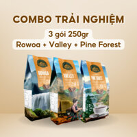[Giảm giá] Combo gồm 3 gói cà phê pha phin Rowoa, Valley, Pine Forest 250gram từ Dehavi giảm 30%