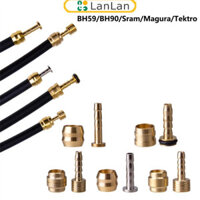 Giảm giá hấp dẫn 60 Bộ Xe Đạp Phanh Dầu Chu Kỳ Phanh Khớp Xe Đạp Đầu Nối Ống Khớp Phụ Kiện Ngoài Trời Kết Nối Đa Chức Năng Khớp Lắp Khớp Đồng Khớp