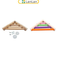 Giảm giá hấp dẫn Chim Cá Rô Góc Nền Tảng Đa Năng Chim Gỗ Đứng Kệ Đồ Chơi Thú Cưng Cho Vẹt Chinchilla Sóc