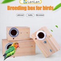 Giảm giá hấp dẫn Gỗ Tổ Chim Sơn Nhà Chim Hộp Giống Ngoài Trời Trang Trí Sân Vườn Cho Vẹt Vẹt Vẹt Cockatiel Lovebirdsn