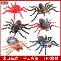 ★Giảm giá hấp dẫn trong thời gian có hạn★Trẻ Em Nhận Thức Nhện Côn Trùng Động Vật Mô Phỏng Mô Hình Sơn Trắng Đầu Nhện Tarantula Nhảy Nhện Phễu Nhện Nhện Giải Nén Đồ Chơi Trẻ Em Quà Tặng