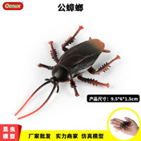 ★Giảm giá hấp dẫn trong thời gian có hạn★Chắc Chắn Tĩnh Đồ Chơi Trẻ Em Mô Phỏng Hoang Dã Mô Hình Côn Trùng Đồ Chơi Tricky Nam Gián Mô Hình Đồ Trang Trí Trẻ Em Quà Tặng