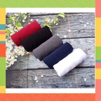 [Giảm mạnh] [Siêu Đẹp] ÁO GIỮ NHIỆT NAM LANDSEN CỔ CAO HÀNG CHÍNH HÃNG [Hàng VNXK]