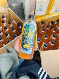 Giấm táo mèo