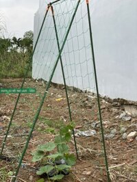 GIÀN CHỮ A, D60C180CM, ỐNG PHI 11