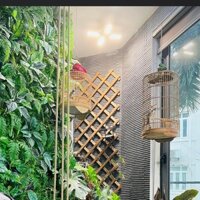 Giàn gỗ treo cây ban công gỗ Teak giàn leo cây ban công Home Decor C200xR60 cm Hàng rào trồng hoa