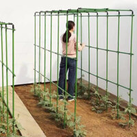 Giàn Leo Chữ U Ống Thép Bọc Nhựa Cho Cây Trồng (Nhiều Kích Thước)