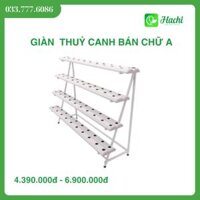 Giàn trồng rau thủy canh dạng bán chữ A