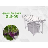 Giàn trồng rau thủy canh GLS 05