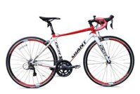 GIANT 2019 OCR 5300