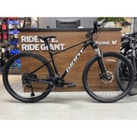 GIANT 2024 XTC 800 29