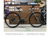 Giant Escape 1 D GC 2024