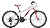 GIANT XTC 24 2019 ( 9 đến 15 tuổi )