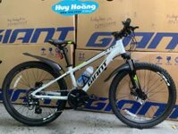 Giant XTC 24 D-1  ( 9 đến 15 tuổi )