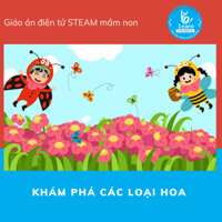 Giáo án khám phá các loại hoa - Giáo án điện tử STEAM mầm non - Dụng cụ dạy học mầm non - Học liệu STEAM - Giáo án mầm n
