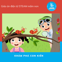 Giáo án Khám phá con kiến - Giáo án điện tử STEAM mầm non - Dụng cụ dạy học mầm non - Học liệu STEAM - Giáo án mầm non