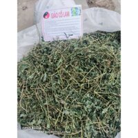 Giảo cổ lam hàng 5 lá