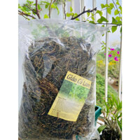 GIẢO CỔ LAM THẢO DƯỢC
