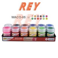 [Giao hoả tốc] Vỉ màu nước Thiên Long Poster Colokit 12 màu Waco-05 15ml