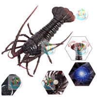 (GIAO NHANH) Đồ chơi TÔM ĐIỀU KHIỂN TỪ XA 3 KÊNH - KIDS GARDEN GÒ VẤP