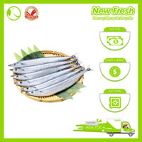 [GIAO NHANH HCM] Cá Thu Đao Sanma Nguyên Con Đài Loan - Túi 1Kg (8-10 con)
