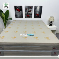 [Giao toàn quốc] Nệm cao su Hoạt tính kháng khuẩn Thiên Long 1m4x2m dành cho giường đơn, giường tầng